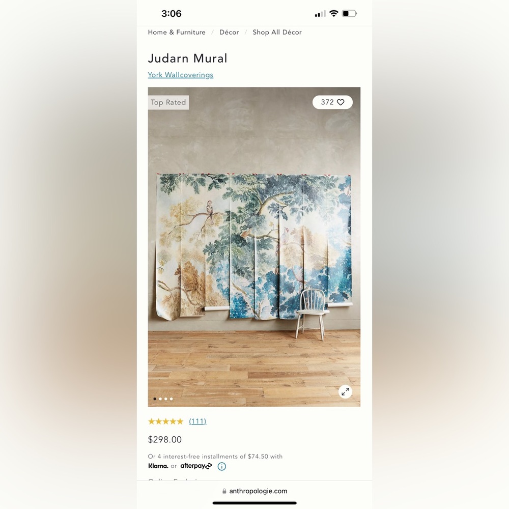Anthropologie Wall Mural- One roll- Alessia Jurdan